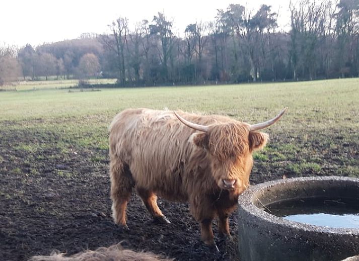Stilvolle Sitzecke mit Fernseher im Cottage in Oldenzaal, perfekt zum Entspannen.