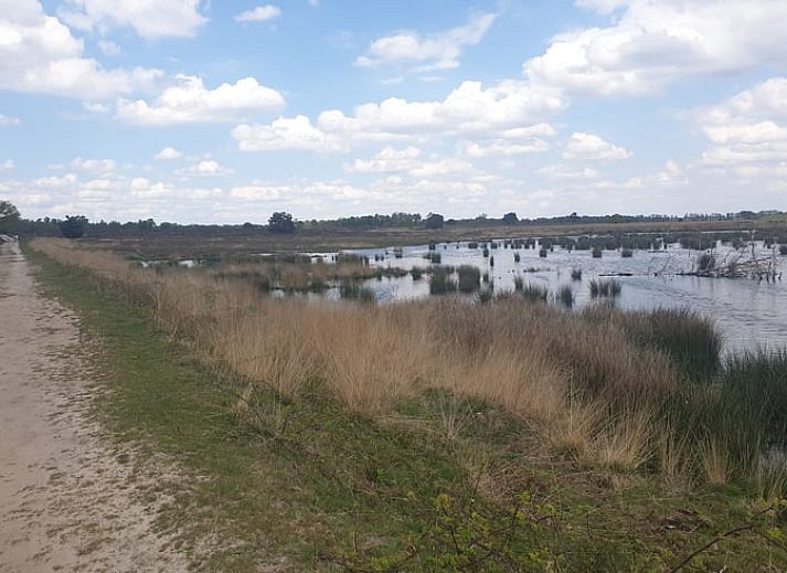 Rustiek vakantiehuis Huisje in Westerhaar-Vriezenveensewijk, gelegen in Twente, Overijssel, met charmante houten gevel.
