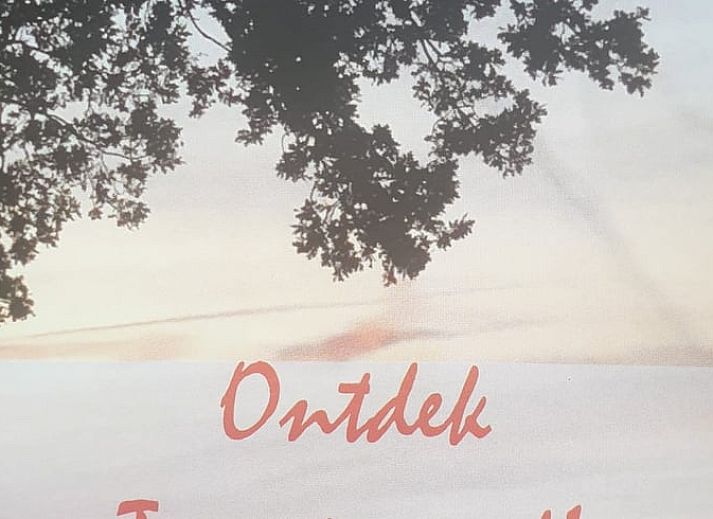 Rustiek vakantiehuis Huisje in Westerhaar-Vriezenveensewijk, gelegen in Twente, Overijssel, met charmante houten gevel.