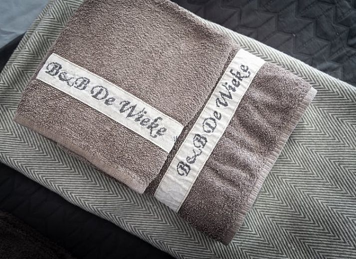 Unieke decoraties in de tuin van vakantiehuisje in Westerhaar-Vriezenveensewijk, Twente, Overijssel.