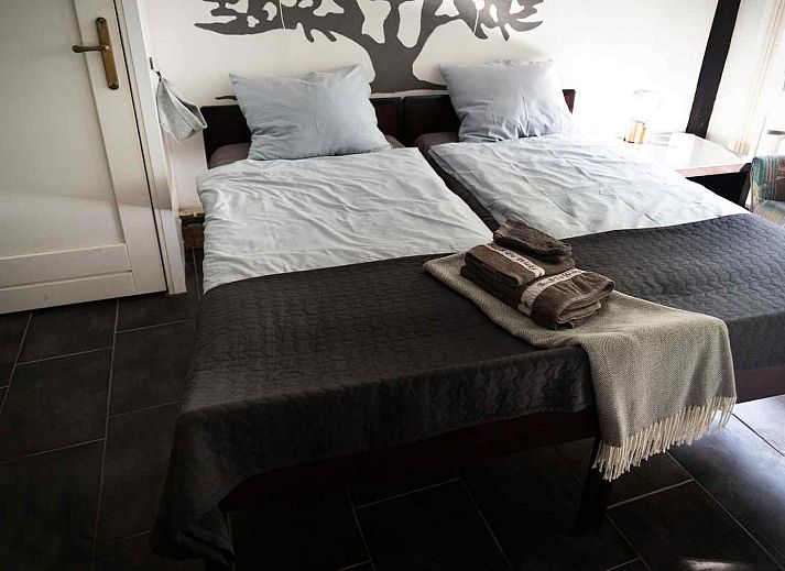 Zonnig terras bij vakantiehuis OV604 in Westerhaar-Vriezenveensewijk, Twente.