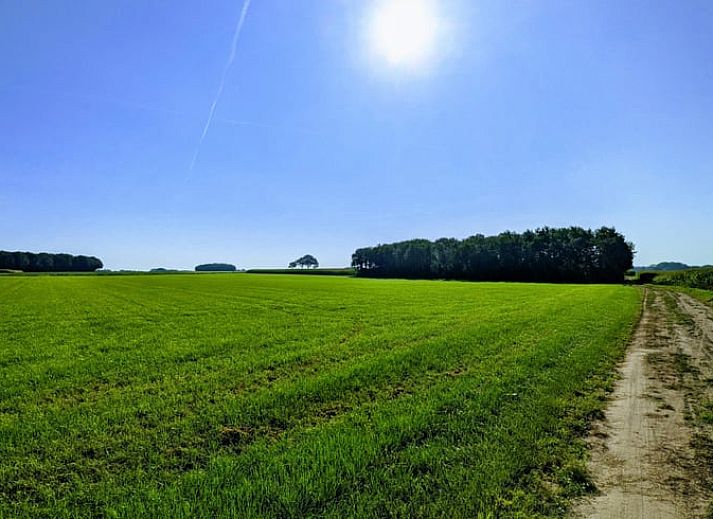 Dining table with flowers in Holiday home in Markelo, Hof van Twente overlooking the countryside.