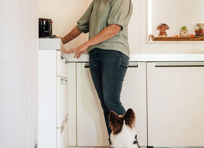 Geniet van het terras van Huisje in Markelo, een vakantiehuis in Twente, Overijssel, omgeven door natuur en rust.