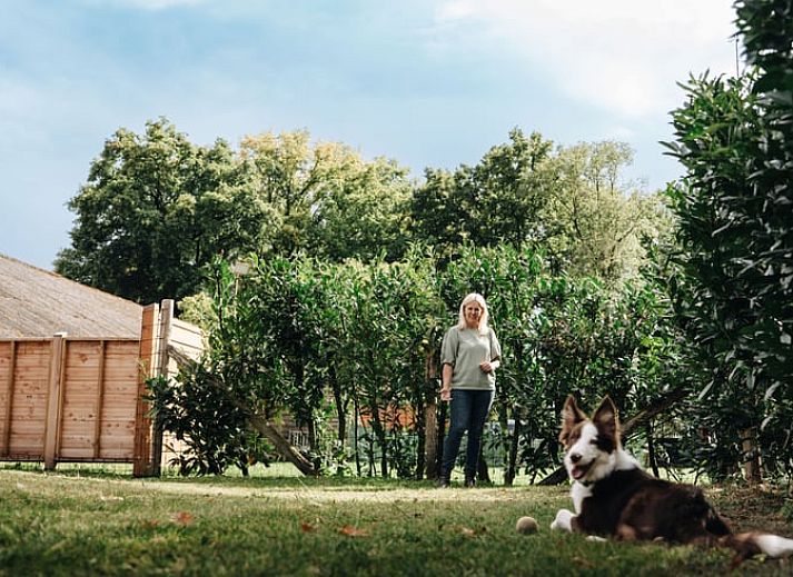 Gezellige woonkamer van Huisje in Markelo, vakantiehuis in Twente, Overijssel, met moderne inrichting en familievriendelijke sfeer.