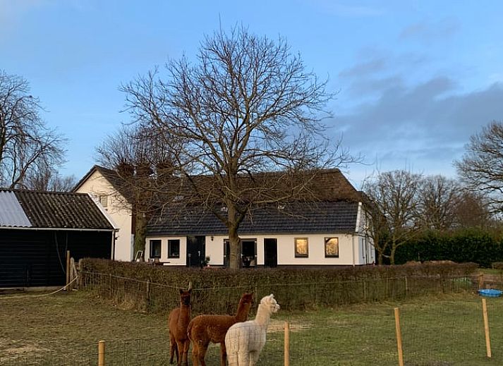 Speeltoestel met glijbaan in de tuin van Vakantiehuisje in Markelo, Twente, Overijssel, omringd door natuur en dieren voor een gezinsvakantie.