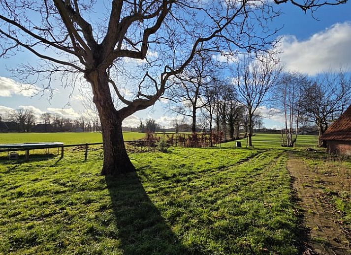 Verblijf 522917 - Vakantiewoning Twente - Vakantiehuis in Markelo