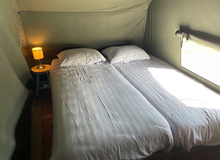 Verblijf 522919 - Tenthuis Twente - Luxe Lodgetent