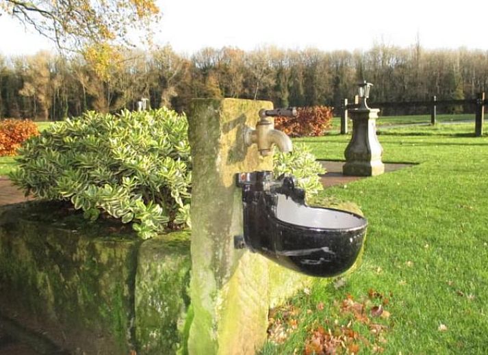 Unterkunft 522920 - Ferienhaus Twente - Vakantiehuisje in Markelo