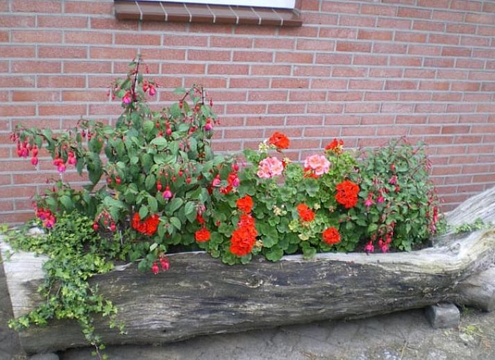 Unterkunft 522920 - Ferienhaus Twente - Vakantiehuisje in Markelo