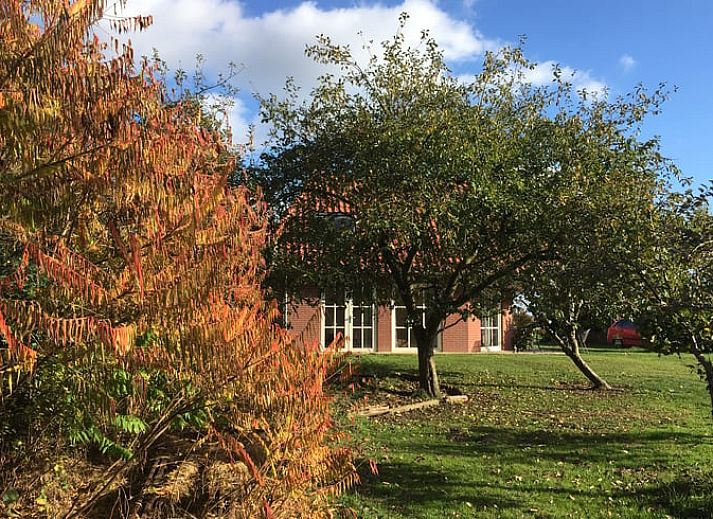 Unterkunft 522923 - Ferienhaus Twente - Vakantiehuis in Twente, Markelo