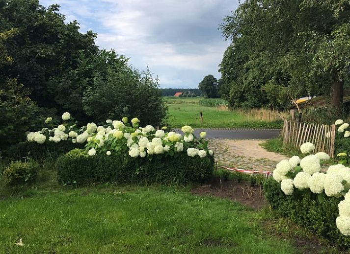 Unterkunft 522923 - Ferienhaus Twente - Vakantiehuis in Twente, Markelo