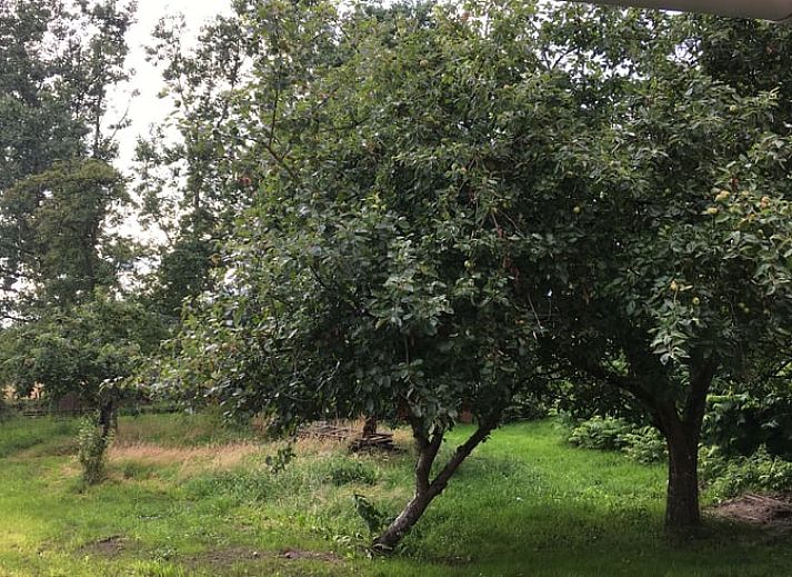 Unterkunft 522923 - Ferienhaus Twente - Vakantiehuis in Twente, Markelo