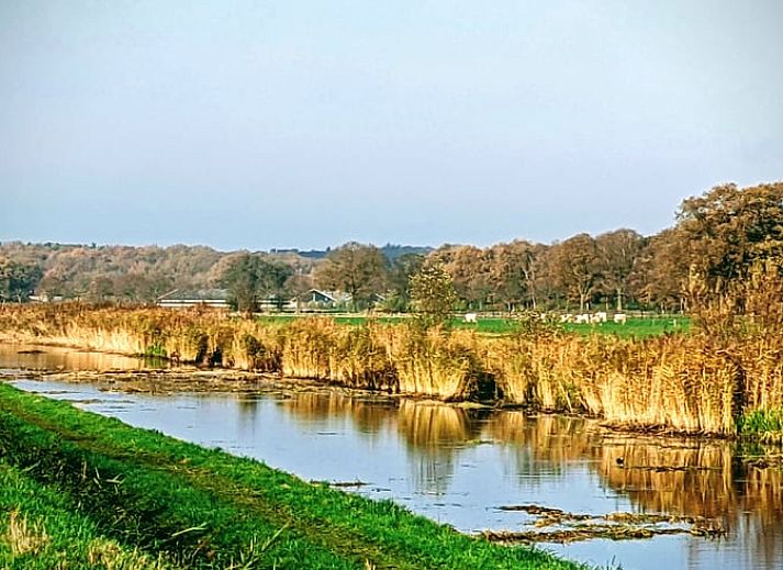 Unterkunft 522925 - Ferienhaus Twente - Vakantiehuis in Markelo (Hof van Twente)