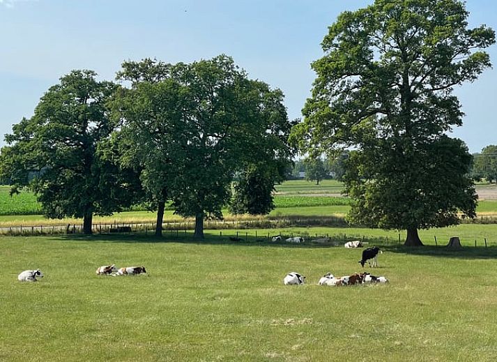Gemuetliche Kueche und Essbereich im Ferienhaus in Markelo, Twente, Overijssel mit rustikalen Holzakzenten und modernen Annehmlichkeiten.