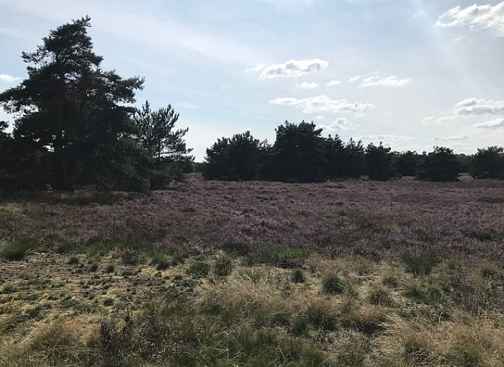 Unterkunft 522930 - Ferienhaus Twente - Vakantiehuis in Markelo