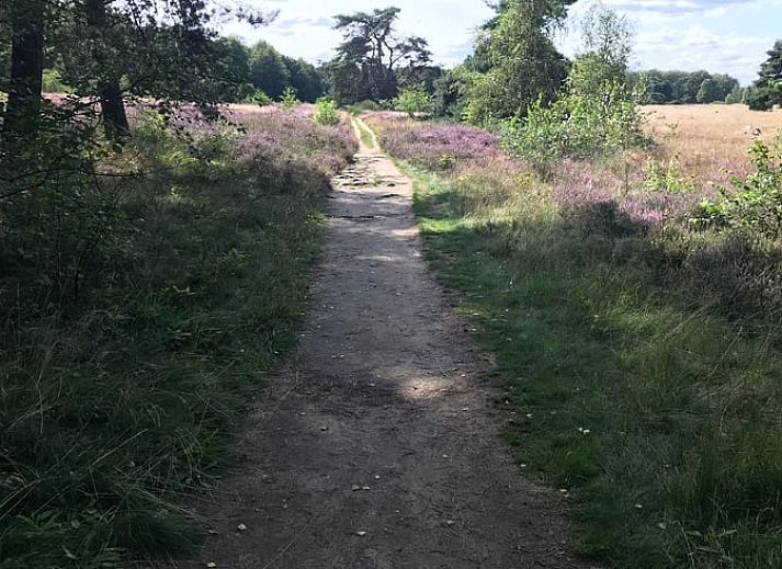 Unterkunft 522930 - Ferienhaus Twente - Vakantiehuis in Markelo