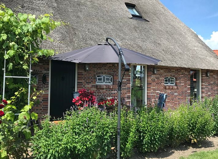 Trap in Vakantiehuisje in Markelo, een charmante vakantiewoning in Twente, Overijssel, met authentieke details en warme kleuren.