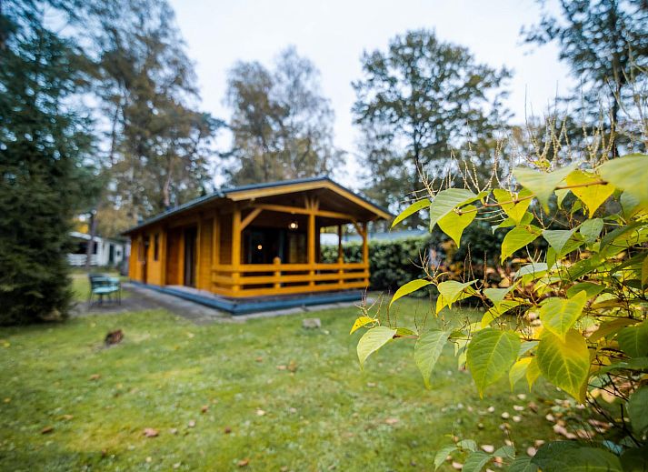 Unterkunft 522947 - Ferienhaus Twente - Wellness lodge