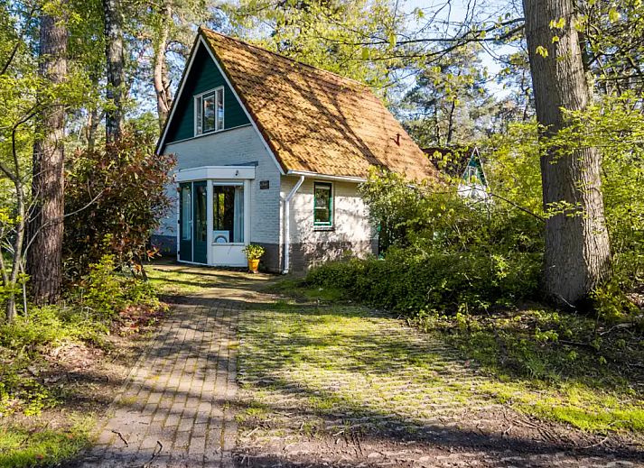 Verblijf 522953 - Vakantiewoning Twente - 4 persoons stenen bosvilla