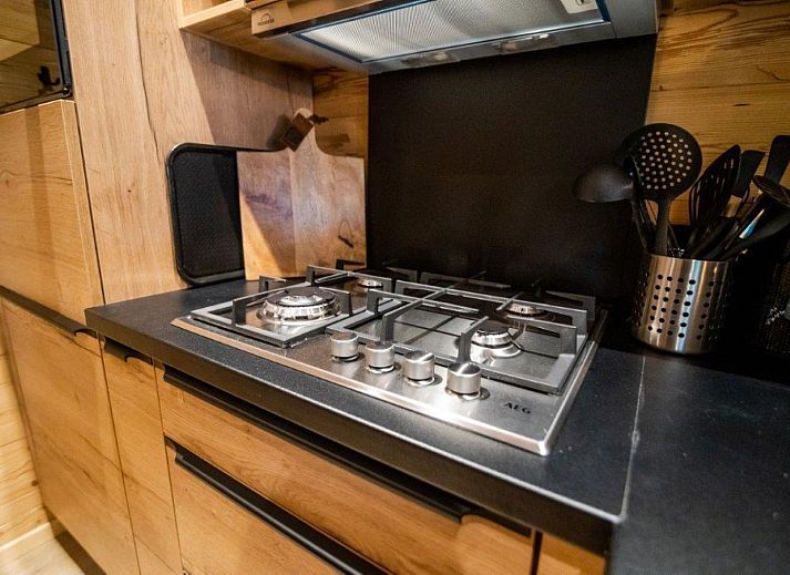 Unterkunft 522957 - Ferienhaus Twente - Terras Chalet