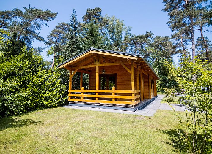 Guest house 522964 - Holiday property Twente - lodge