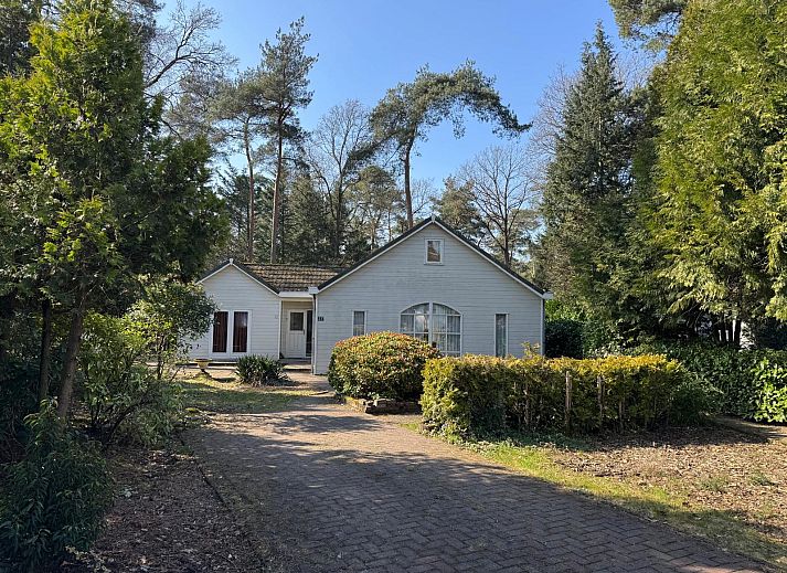 Modern bungalow at Several bungalows for sale in Markelo, Twente, surrounded by nature and spacious garden.