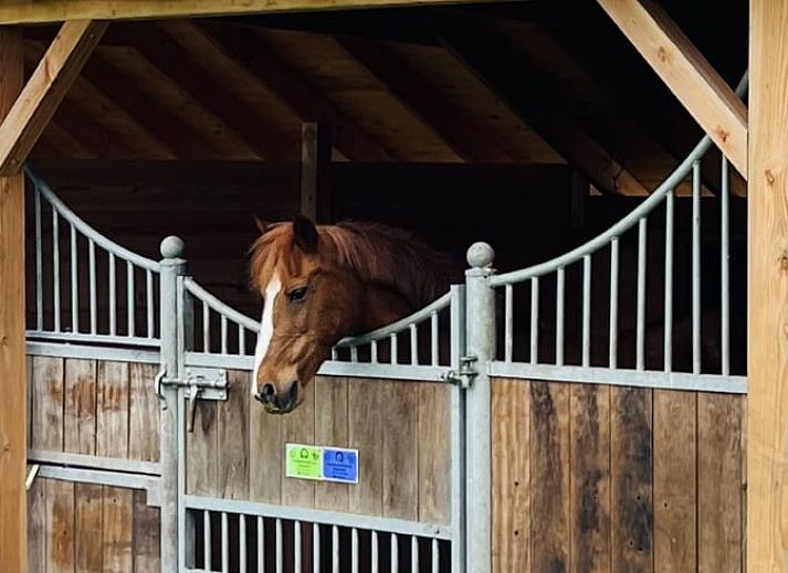 Stijlvolle keuken in Vakantiehuis in Usselo, Twente, compleet met moderne apparatuur en sfeervolle inrichting.