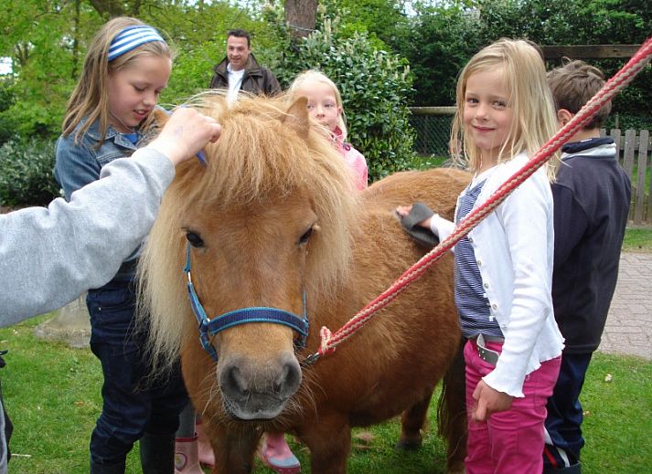 Guest house 523101 - Holiday property Twente - Heeckeren