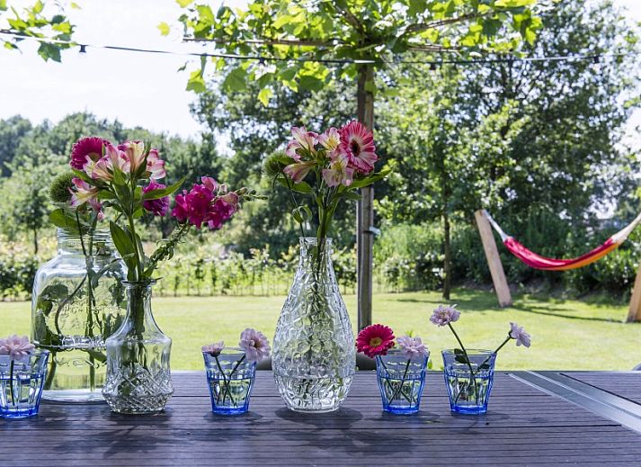 Guest house 523101 - Holiday property Twente - Heeckeren