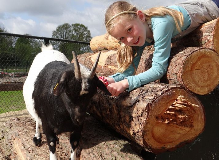 Guest house 523101 - Holiday property Twente - Heeckeren