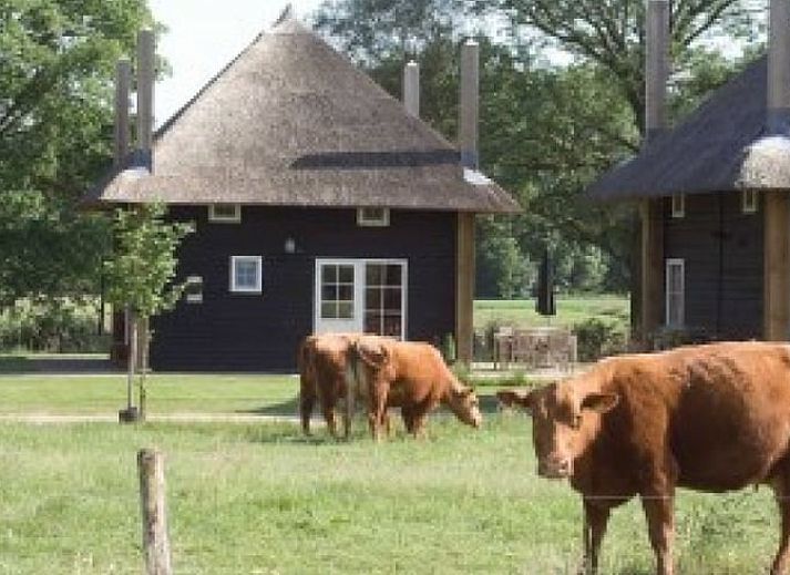 Sonnenaufgang im Ferienhaus in Enter, Twente, Overijssel, umgeben von nebliger Natur und heiterer Stille.