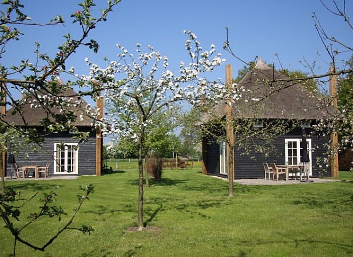 Sonnenaufgang im Ferienhaus in Enter, Twente, Overijssel, umgeben von nebliger Natur und heiterer Stille.