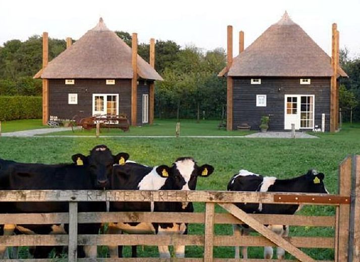 Sonnenaufgang im Ferienhaus in Enter, Twente, Overijssel, umgeben von nebliger Natur und heiterer Stille.