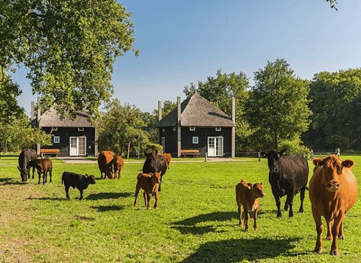 Verblijf 523108 • Vakantiewoning Twente • Natuurhuisje in Enter