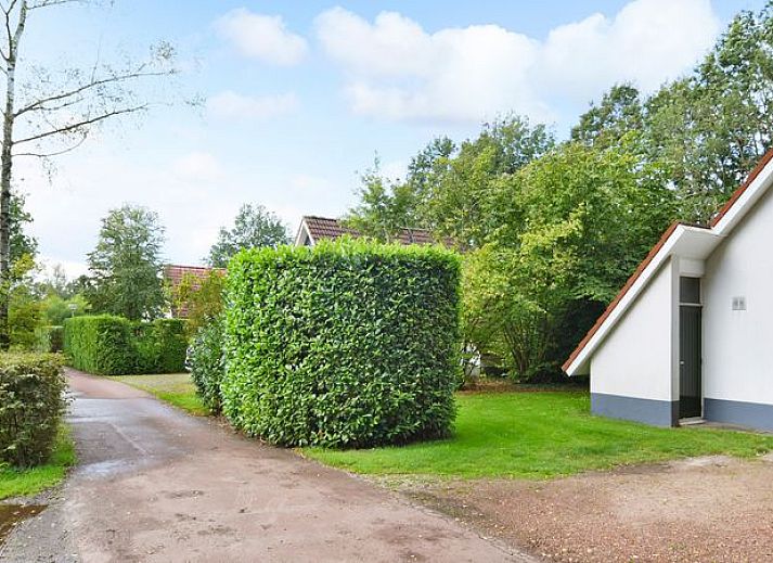 Guest house 523109 - Bungalow Twente - Landgoed De Elsgraven | 4-6-persoons bungalow | 4-6C2