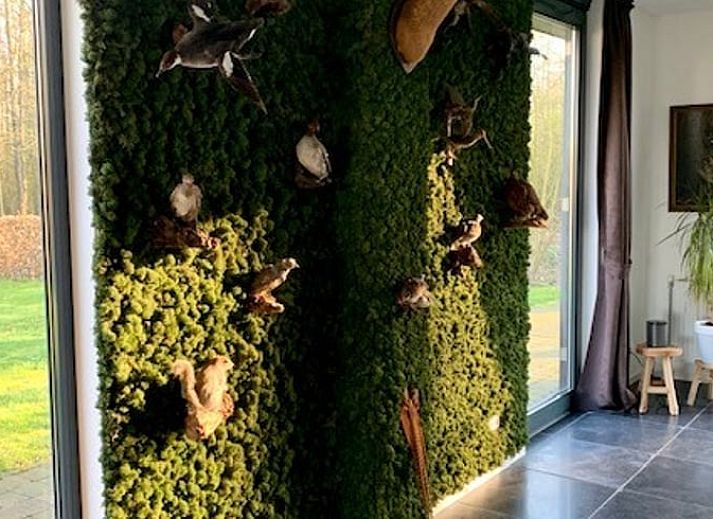 Huisje in Enter, vakantiehuis in Twente omringd door natuur, ideaal voor een ontspannen verblijf in Overijssel.