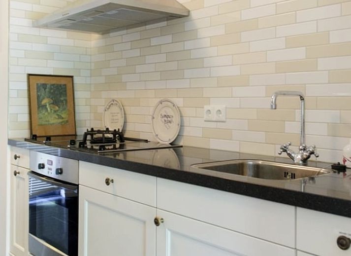 Unieke binnenruimte met moswand in Huisje in Enter, vakantiehuis in Twente, biedt rustieke charme in Overijssel.