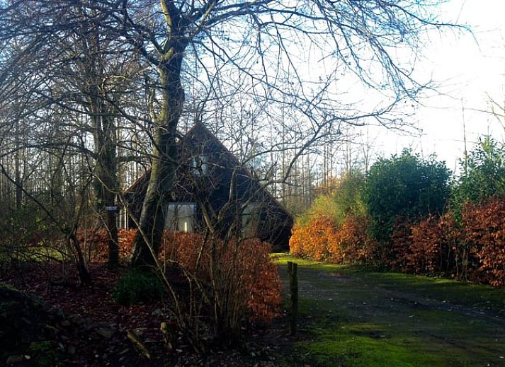 Moderne werkplek in Huisje in Enter, vakantiehuis in Twente, ideaal voor werk en ontspanning in Overijssel.