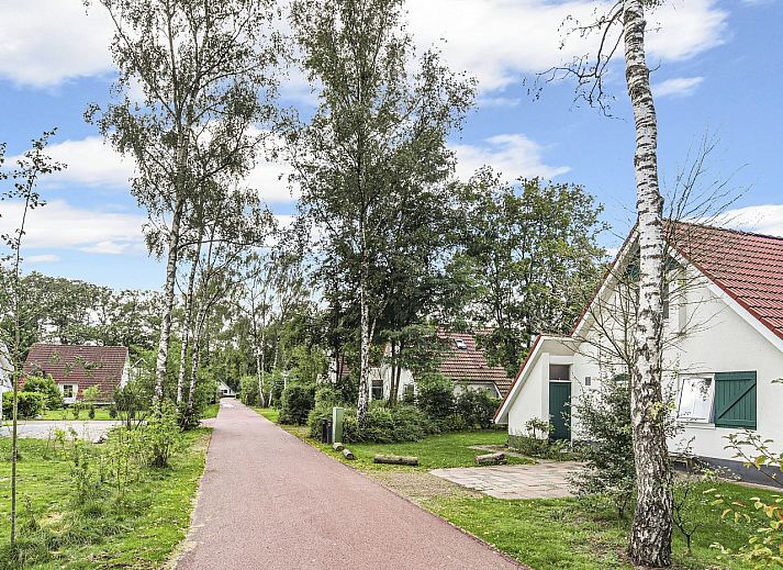 Guest house 523137 • Bungalow Twente • Landgoed De Elsgraven | 4-persoons bungalow | 4CE2 