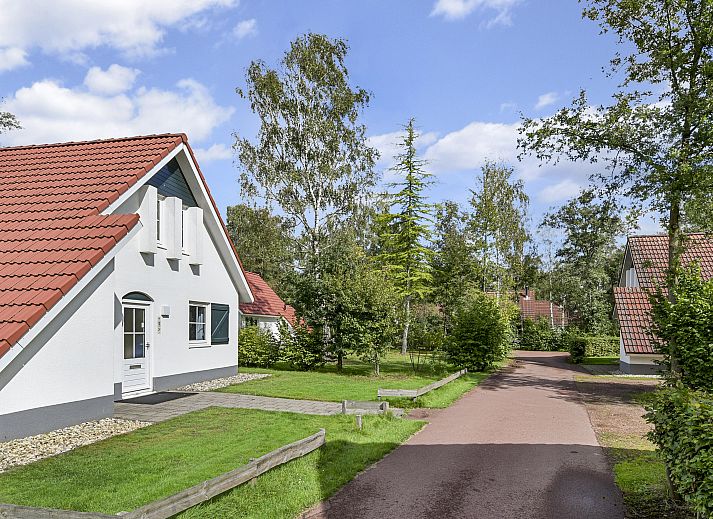Landgut De Elsgraven in Enter, Twente mit charmantem 4-Personen-Bungalow und gruener Umgebung.