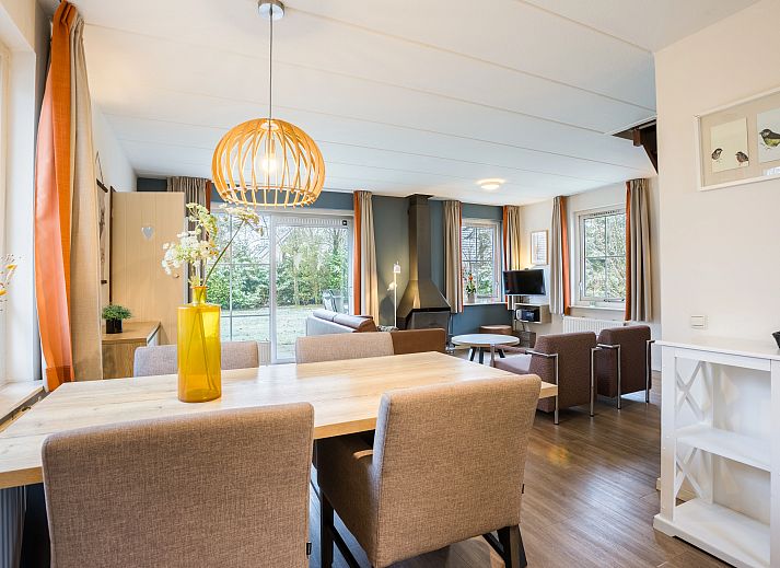 Modernes Wohnzimmer mit Kamin im Bungalow Landgoed De Elsgraven in Enter, Twente.