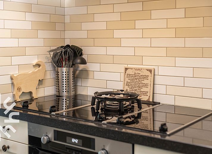 Impressive deer antlers in vacation home OV659, Enter, Twente for a unique atmosphere.