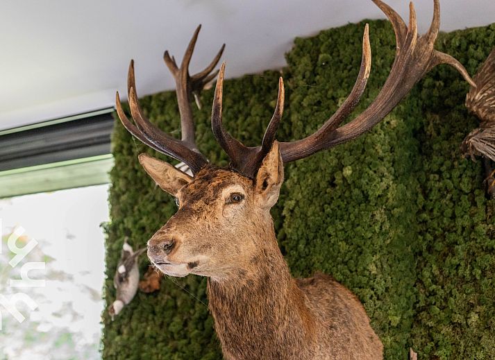 Bedroom in vacation home OV659, Enter, Twente with soothing interior.