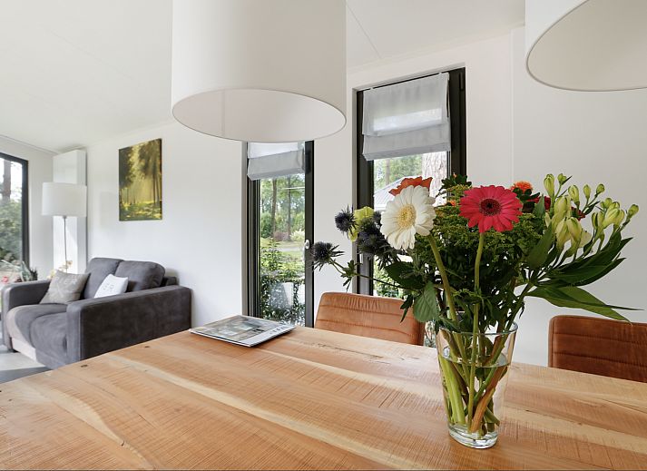 Guest house 523148 - Holiday property Twente - Boslodge + privé sauna en hottub