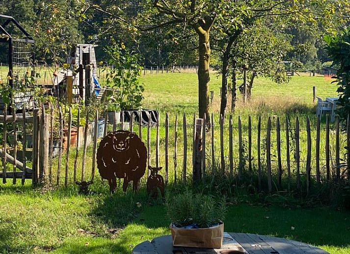 Guest house 523307 - Holiday property Twente - Vakantiehuis in Albergen