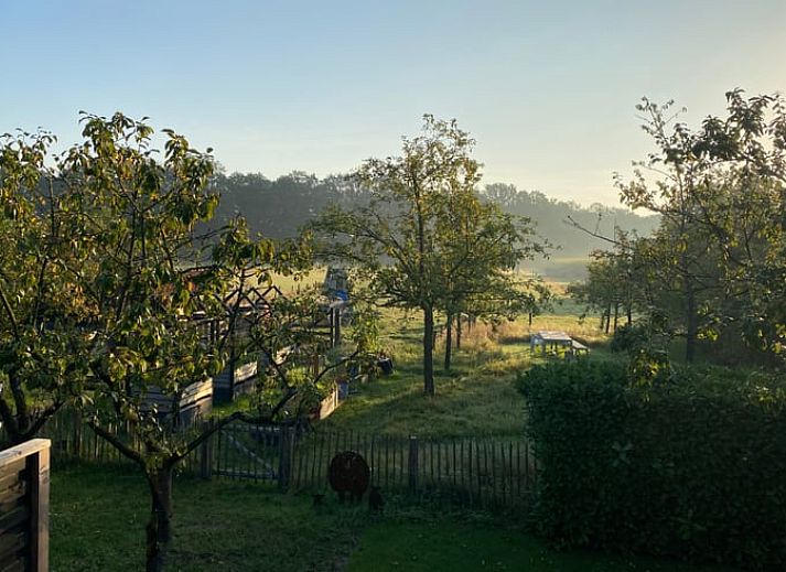 Guest house 523307 - Holiday property Twente - Vakantiehuis in Albergen