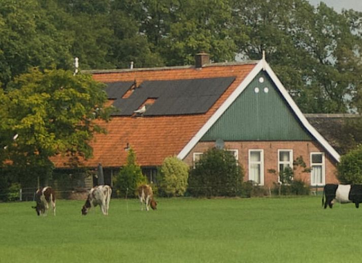 Guest house 523308 • Holiday property Twente • Vakantiehuis in Albergen