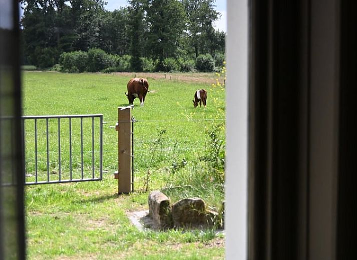 Unterkunft 523308 - Ferienhaus Twente - Vakantiehuis in Albergen