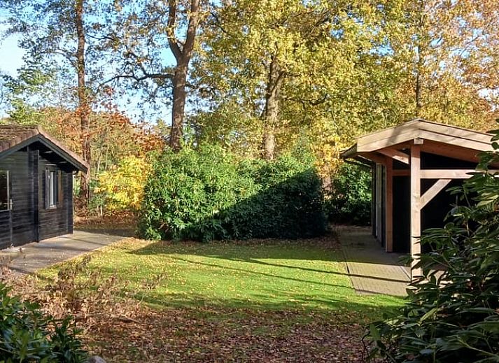 Rustiek pad omgeven door bomen bij Vakantiehuisje in Albergen, Twente, Overijssel, ideaal voor natuurliefhebbers en wandelaars.