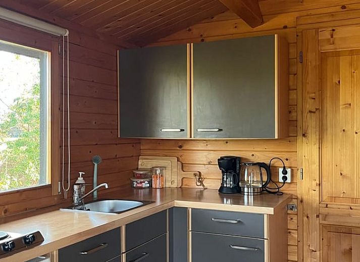 Geniet van de natuurlijke omgeving bij Vakantiehuisje in Albergen, gelegen in de serene bossen van Twente, Overijssel.